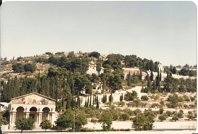 Israel103.jpg - widok na Górę Oliwną - po lewj Kościół Narodów, w środku Cerkiew Św. Marii Magdaleny, po prawej Kościół "Pan Zapłakał"