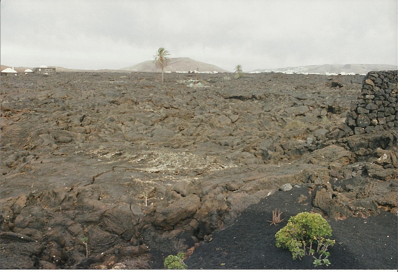 Lanzarote1997-021.jpg