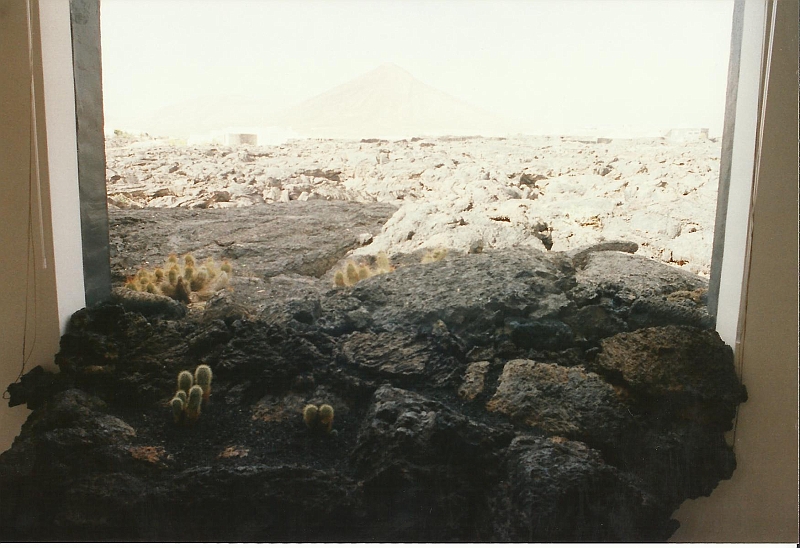 Lanzarote1997-023.jpg