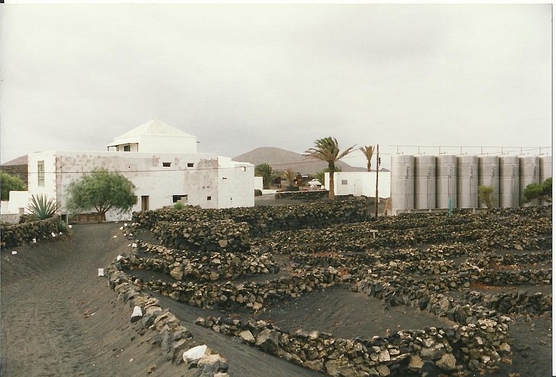 Lanzarote1997-087.jpg