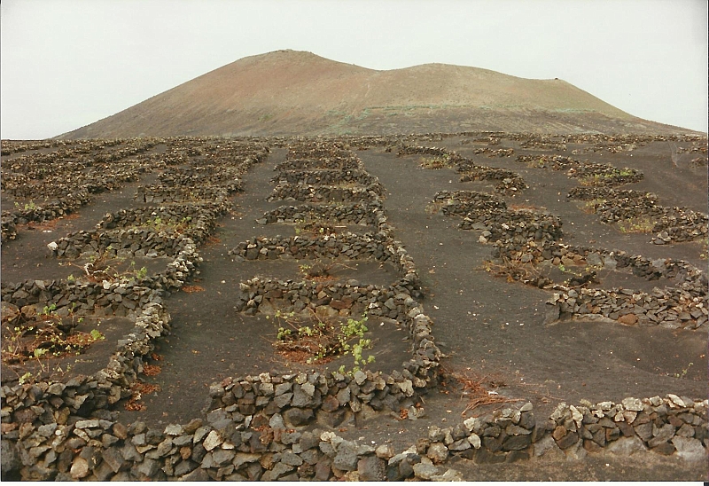 Lanzarote1997-088.jpg