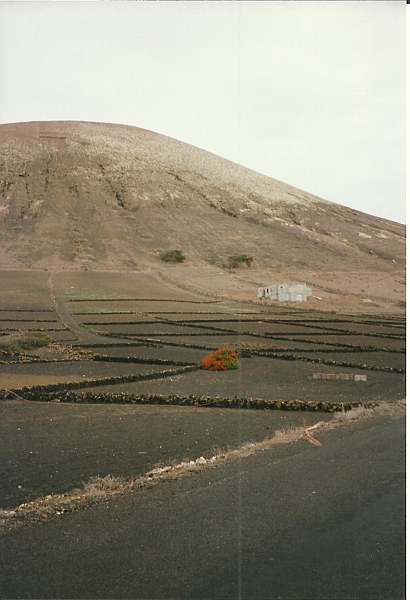 Lanzarote1997-094.jpg