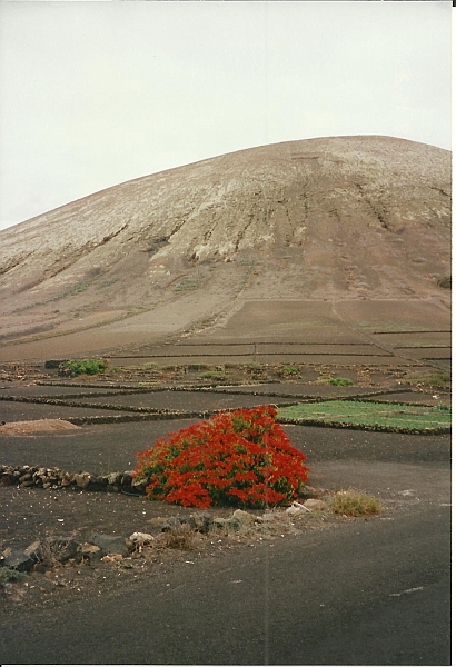 Lanzarote1997-095.jpg