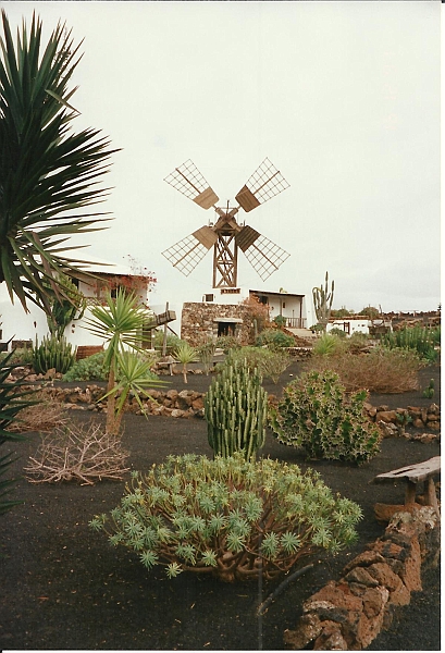 Lanzarote1997-096.jpg