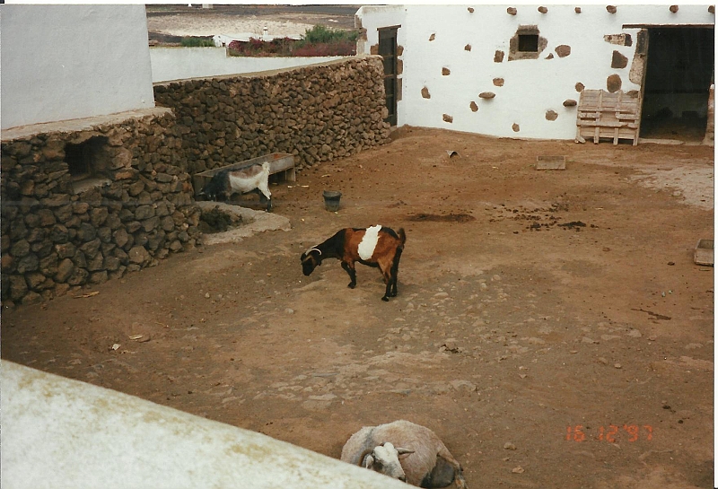 Lanzarote1997-098.jpg