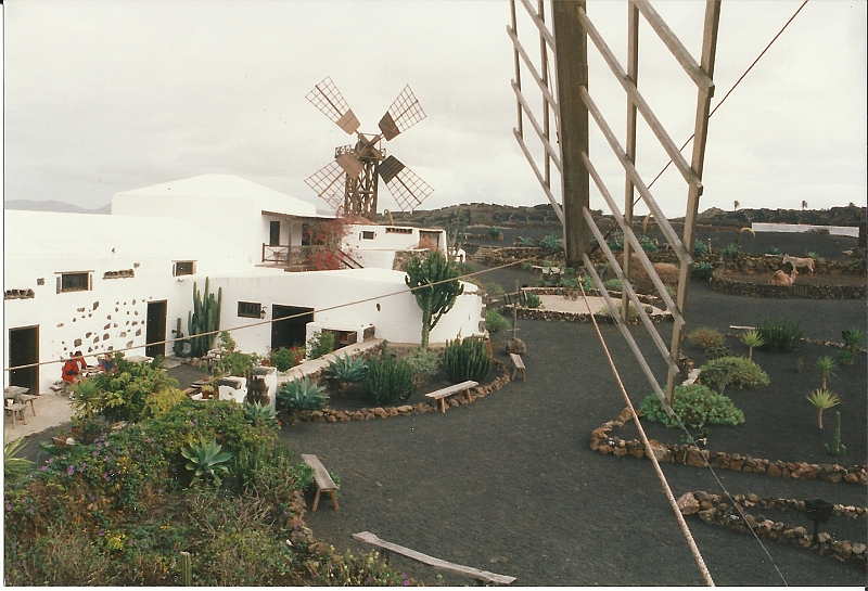 Lanzarote1997-102.jpg