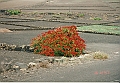 Lanzarote1997-093