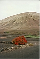 Lanzarote1997-095