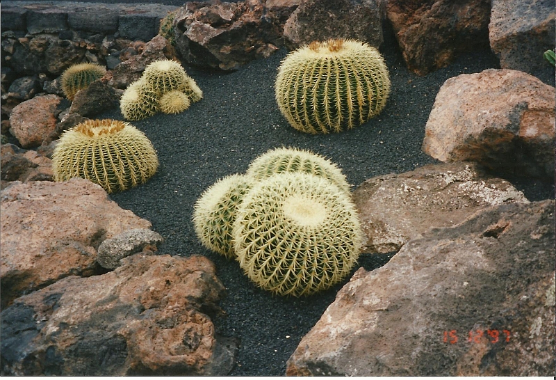 Lanzarote1997-036.jpg