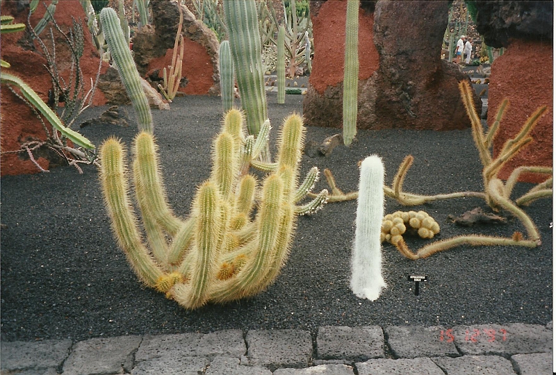 Lanzarote1997-038.jpg