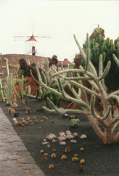 Lanzarote1997-046.jpg