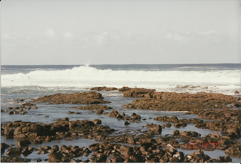 Lanzarote1997-131.jpg