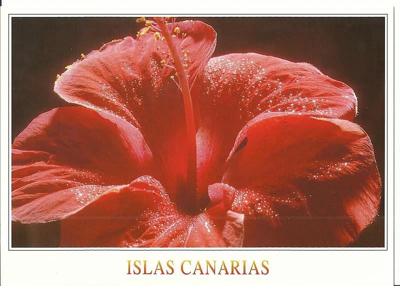 Lanzarote1997-232.jpg