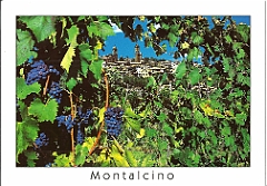 8.Montalcino