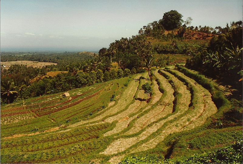 Indonesia1992-18.jpg