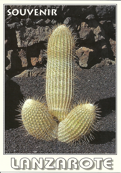 Lanzarote1997-233.jpg