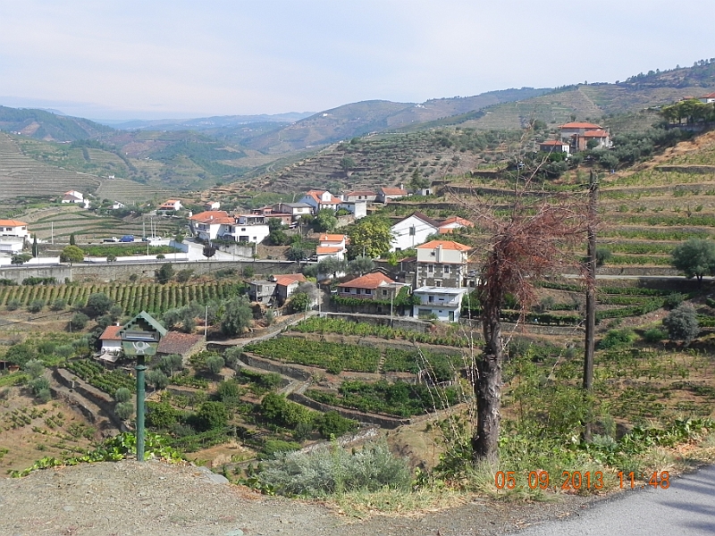 DSCN6545.JPG